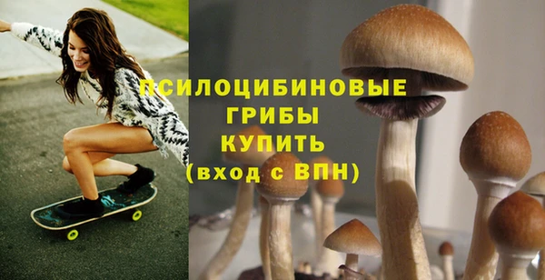 дмт Переславль-Залесский