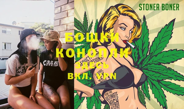 ГАЛЛЮЦИНОГЕННЫЕ ГРИБЫ Покровск